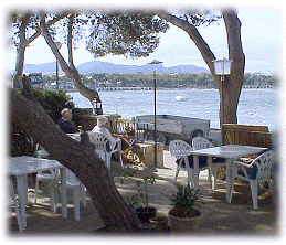 blick.gif (50921 Byte)