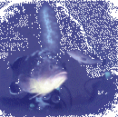 fishssm.gif (9843 Byte)