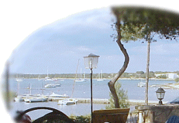 puerto.gif (30240 Byte)